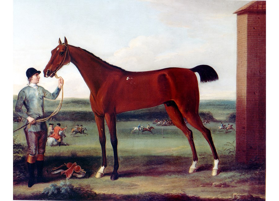 "Lord Portmore’s Victorious held by a Groom at Newmarket"